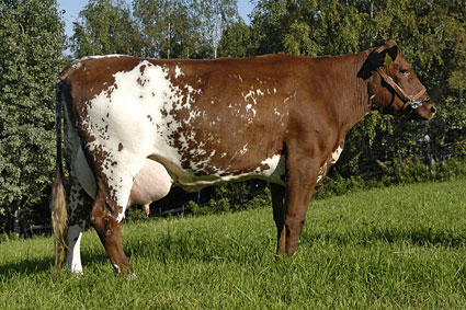 Tochter von Hovde