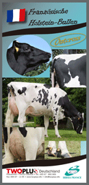 Bullenkatalog  Holstein