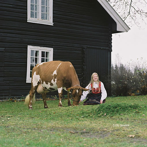 Zwei Norwegerinnen