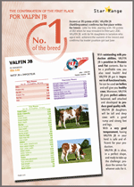 Flyer Valfin - Montbeliarde